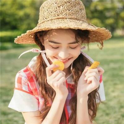 圣物英雄bt果盘版下载